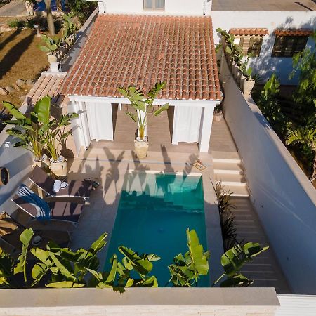 Villa Delle Palme Con Piscina Privata سانتا ماريا ديل فوكالو المظهر الخارجي الصورة